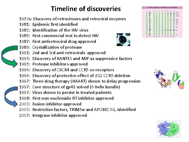 Timeline of discoveries 1970 s: Discovery of retroviruses and retroviral enzymes 1981: Epidemic first