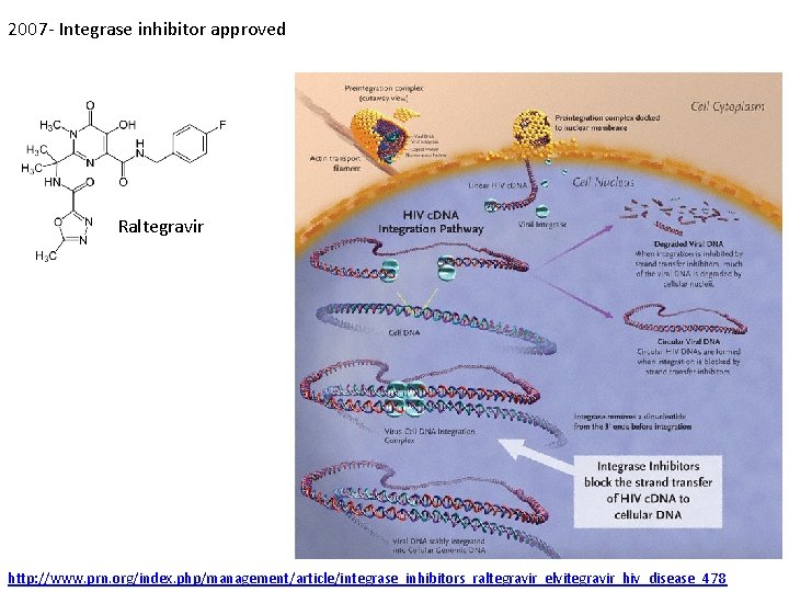 2007 - Integrase inhibitor approved Raltegravir http: //www. prn. org/index. php/management/article/integrase_inhibitors_raltegravir_elvitegravir_hiv_disease_478 