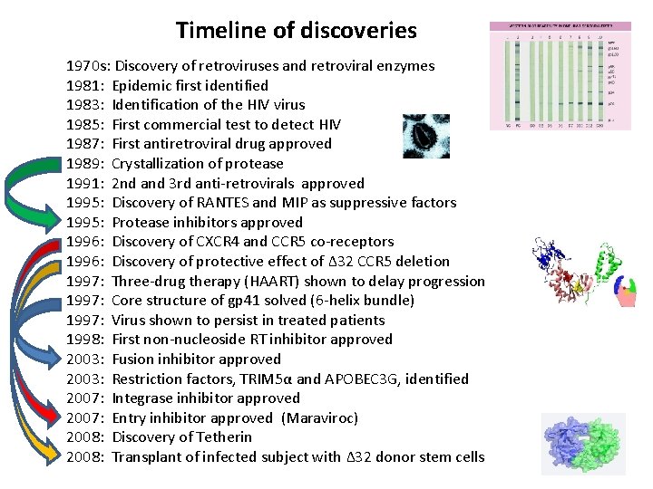 Timeline of discoveries 1970 s: Discovery of retroviruses and retroviral enzymes 1981: Epidemic first