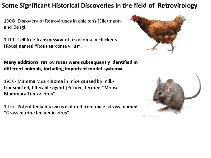 Some Significant Historical Discoveries in the field of Retrovirology 1908 - Discovery of Retroviruses