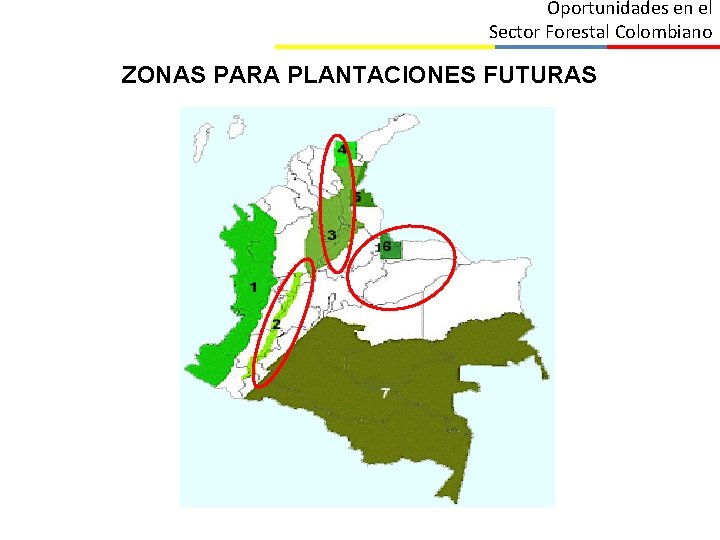 Oportunidades en el Sector Forestal Colombiano ZONAS PARA PLANTACIONES FUTURAS 