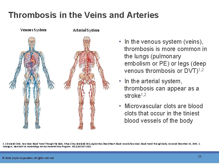 Thrombosis in the Veins and Arteries Venous System Arterial System • In the venous