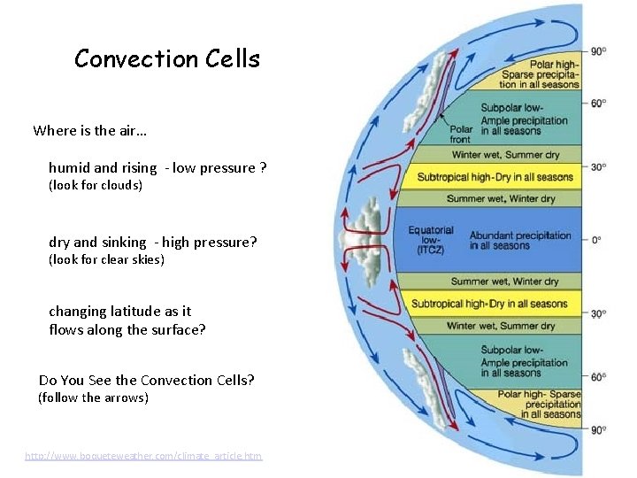 Convection Cells Where is the air… humid and rising - low pressure ? (look