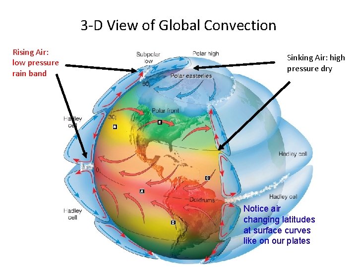 3 -D View of Global Convection Rising Air: low pressure rain band Sinking Air: