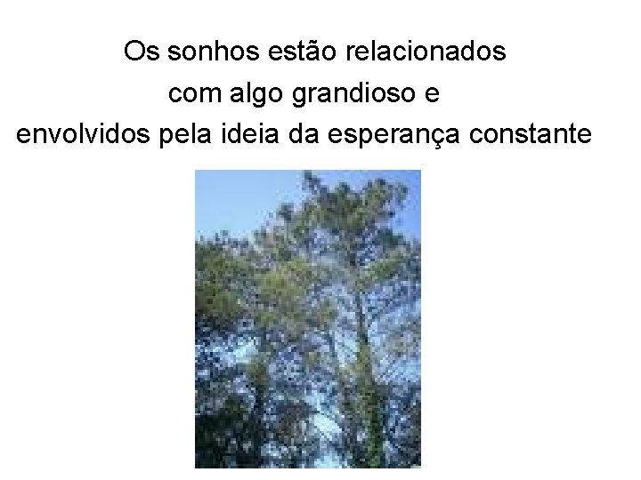 Os sonhos estão relacionados com algo grandioso e envolvidos pela ideia da esperança constante