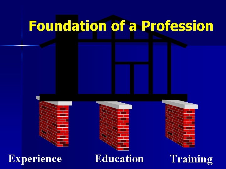 Foundation of a Profession Experience Education Training 