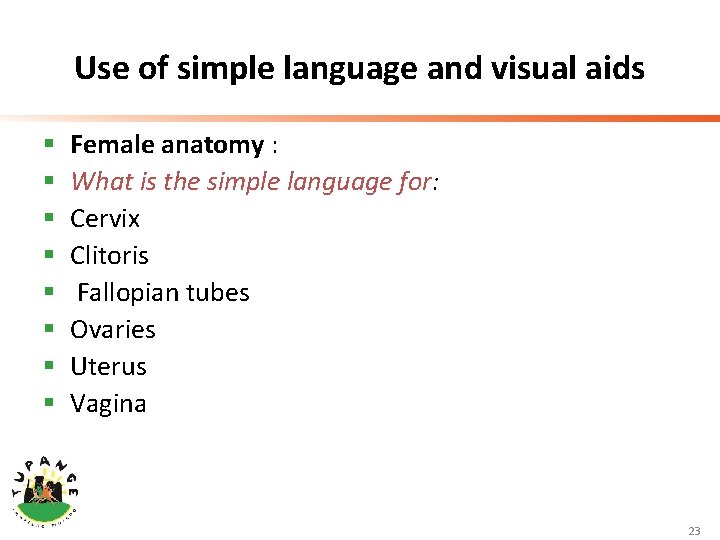 Use of simple language and visual aids § § § § Female anatomy :