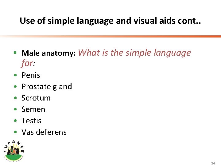 Use of simple language and visual aids cont. . § Male anatomy: What is