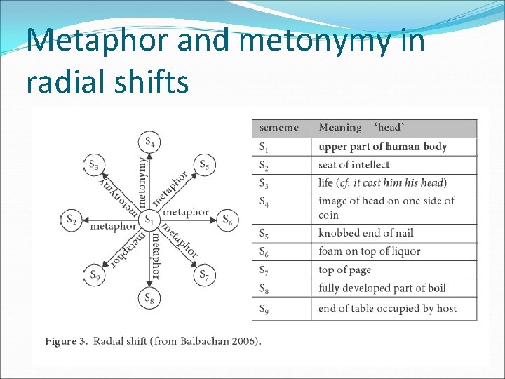 Metaphor and metonymy in radial shifts 