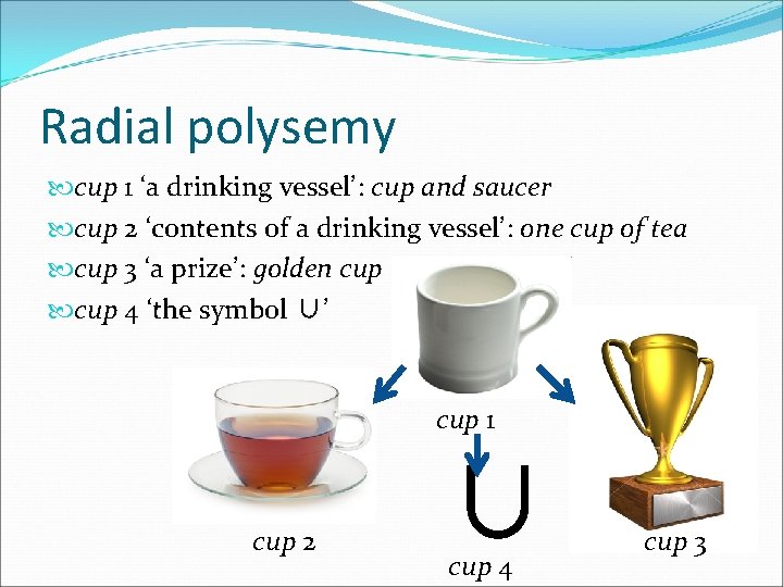 Radial polysemy cup 1 ‘a drinking vessel’: cup and saucer cup 2 ‘contents of