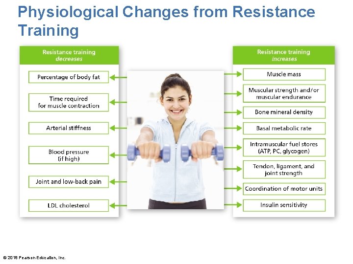 Physiological Changes from Resistance Training Resistance training increases Resistance training decreases © 2018 Pearson