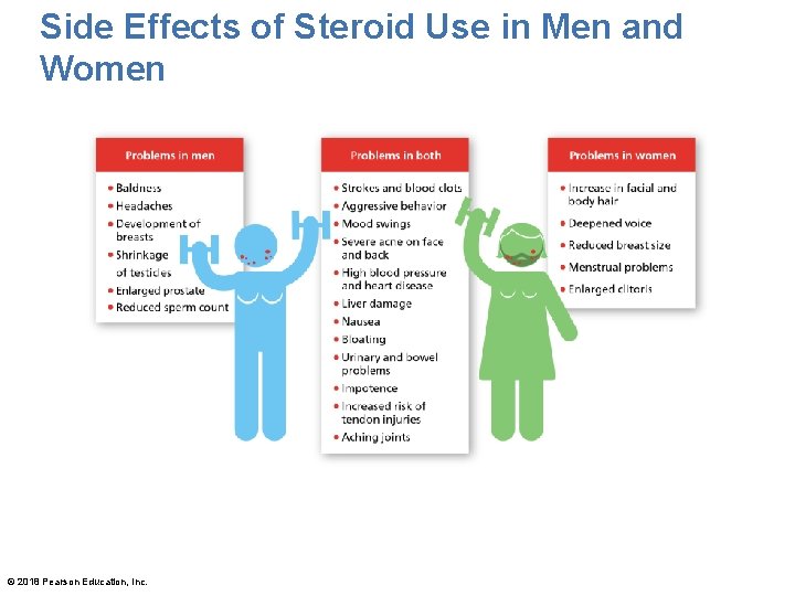 Side Effects of Steroid Use in Men and Women © 2018 Pearson Education, Inc.