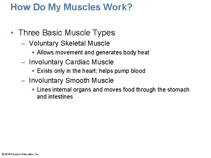 How Do My Muscles Work? • Three Basic Muscle Types – Voluntary Skeletal Muscle