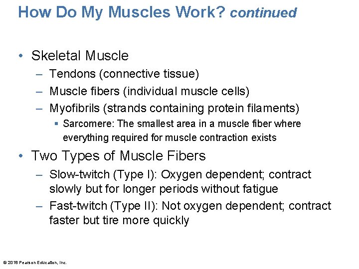 How Do My Muscles Work? continued • Skeletal Muscle – Tendons (connective tissue) –