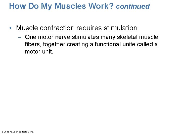 How Do My Muscles Work? continued • Muscle contraction requires stimulation. – One motor