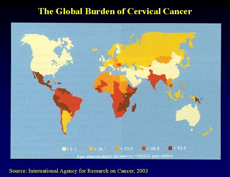 The Global Burden of Cervical Cancer Source: International Agency for Research on Cancer, 2003