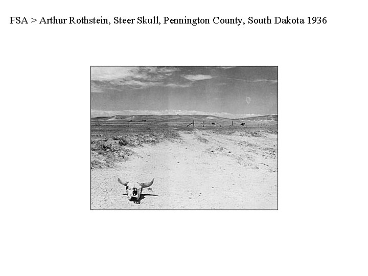 FSA > Arthur Rothstein, Steer Skull, Pennington County, South Dakota 1936 