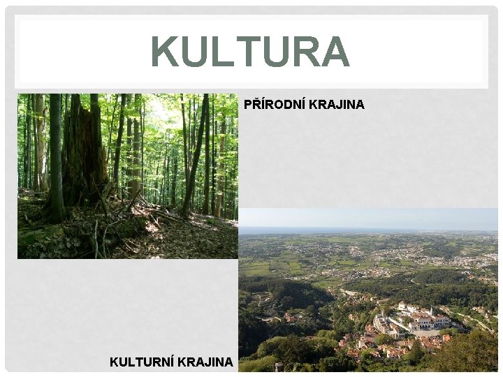 KULTURA PŘÍRODNÍ KRAJINA KULTURNÍ KRAJINA 