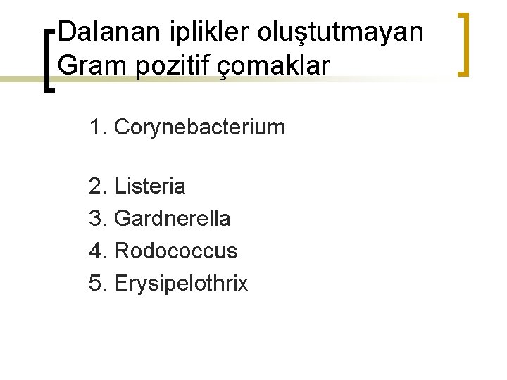 Dalanan iplikler oluştutmayan Gram pozitif çomaklar 1. Corynebacterium 2. Listeria 3. Gardnerella 4. Rodococcus