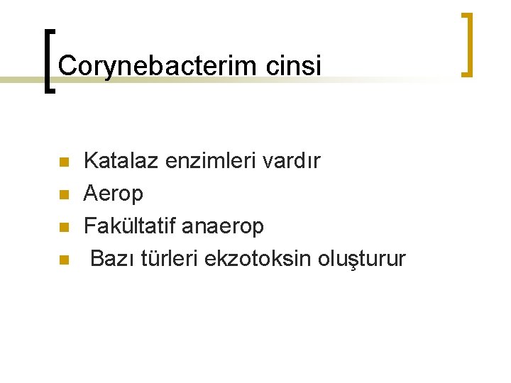 Corynebacterim cinsi n n Katalaz enzimleri vardır Aerop Fakültatif anaerop Bazı türleri ekzotoksin oluşturur