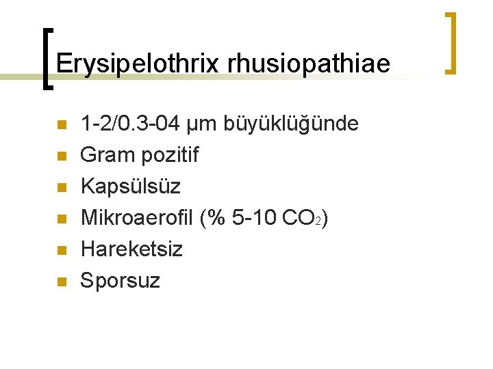 Erysipelothrix rhusiopathiae n n n 1 -2/0. 3 -04 µm büyüklüğünde Gram pozitif Kapsülsüz