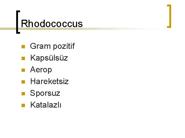 Rhodococcus n n n Gram pozitif Kapsülsüz Aerop Hareketsiz Sporsuz Katalazlı 