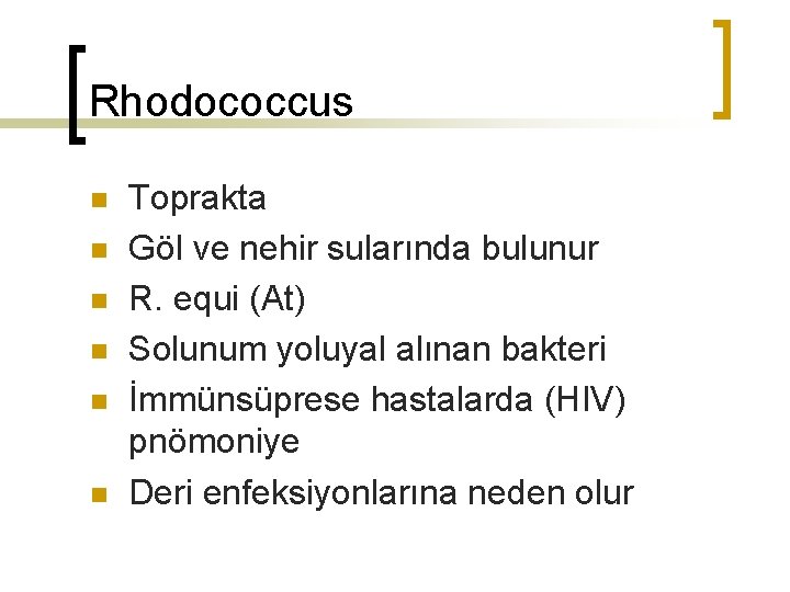 Rhodococcus n n n Toprakta Göl ve nehir sularında bulunur R. equi (At) Solunum