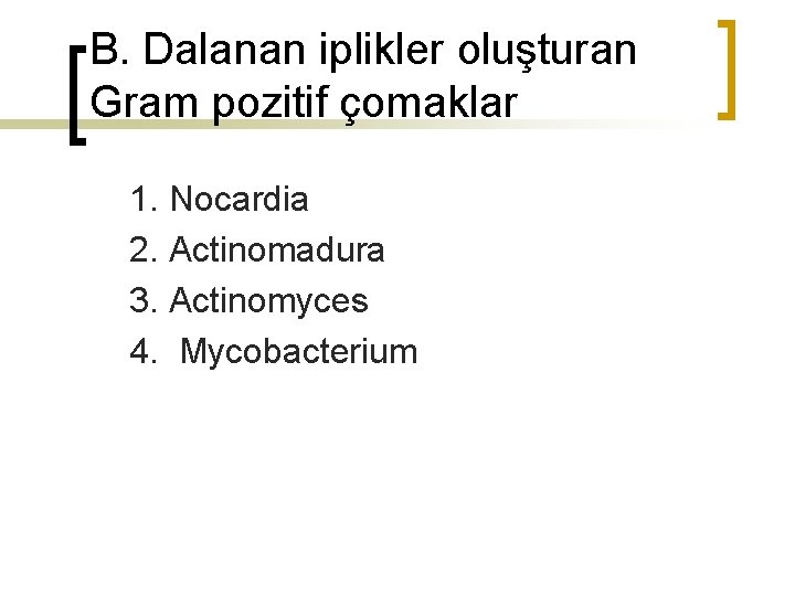 B. Dalanan iplikler oluşturan Gram pozitif çomaklar 1. Nocardia 2. Actinomadura 3. Actinomyces 4.