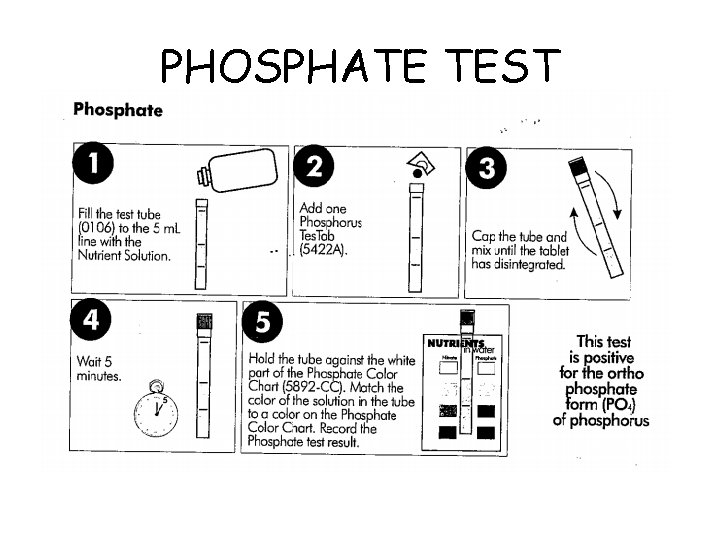 PHOSPHATE TEST 