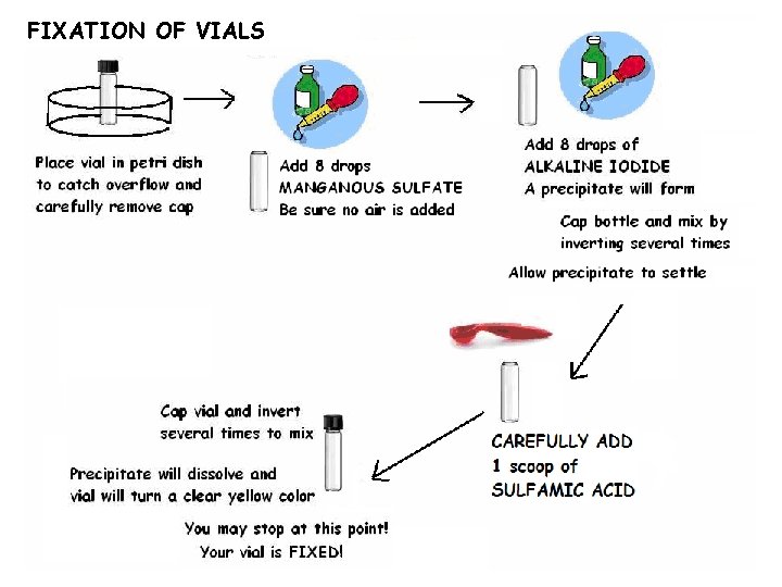 FIXATION OF VIALS 