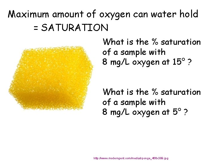 Maximum amount of oxygen can water hold = SATURATION What is the % saturation
