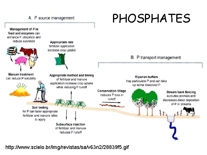 PHOSPHATES http: //www. scielo. br/img/revistas/sa/v 63 n 2/28839 f 5. gif 