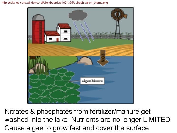 http: //sbt. blob. core. windows. net/storyboards/v 1621335/eutrophication_thumb. png Nitrates & phosphates from fertilizer/manure get