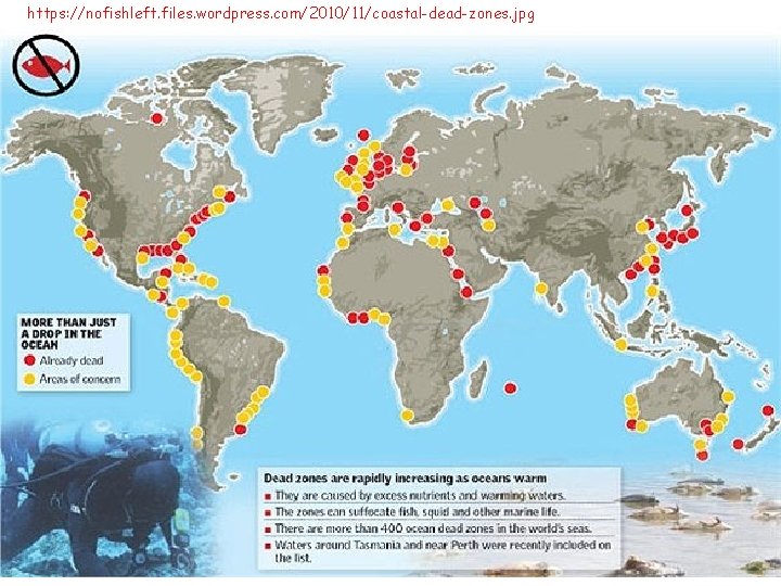 https: //nofishleft. files. wordpress. com/2010/11/coastal-dead-zones. jpg 