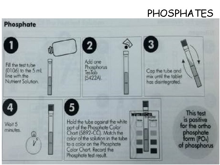 PHOSPHATES 