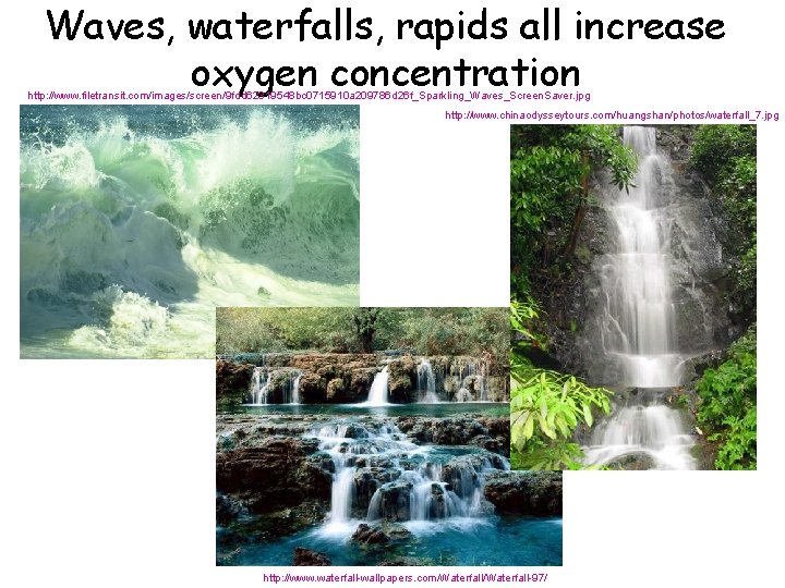 Waves, waterfalls, rapids all increase oxygen concentration http: //www. filetransit. com/images/screen/9 fdd 62319548 bc