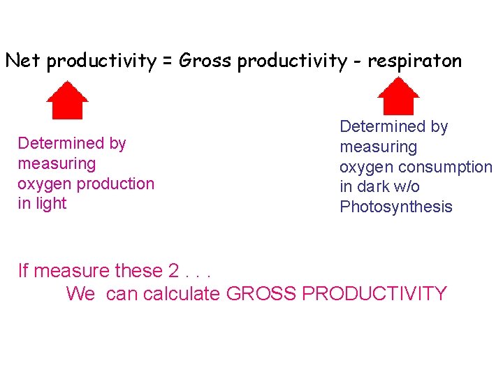 Net productivity = Gross productivity - respiraton Determined by measuring oxygen production in light