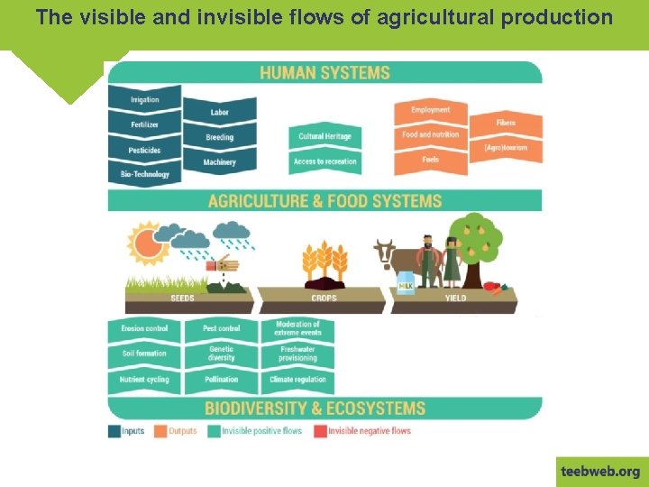 The visible and invisible flows of agricultural production 