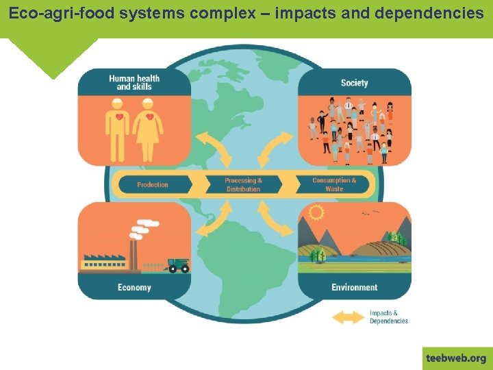 Eco-agri-food systems complex – impacts and dependencies 