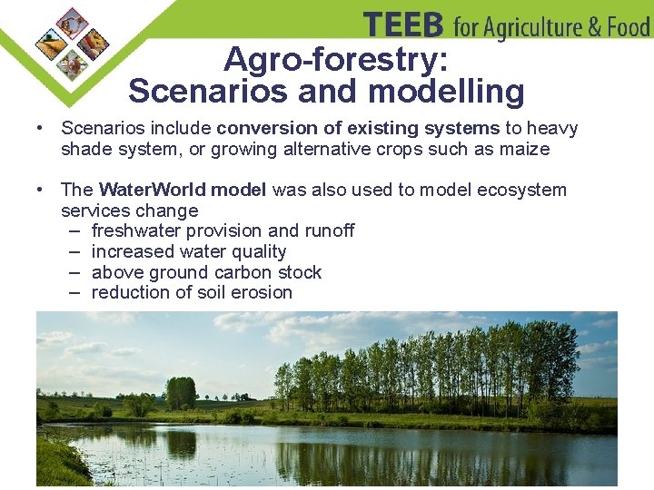 Agro-forestry: Scenarios and modelling • Scenarios include conversion of existing systems to heavy shade