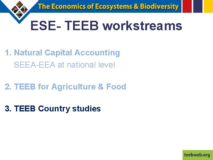 ESE- TEEB workstreams 1. Natural Capital Accounting SEEA-EEA at national level 2. TEEB for