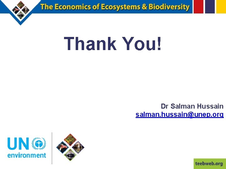 Thank You! Dr Salman Hussain salman. hussain@unep. org 