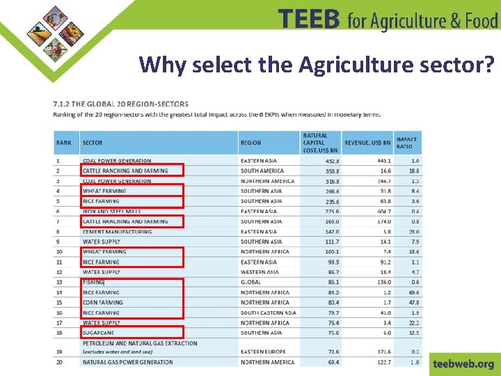 Why select the Agriculture sector? 