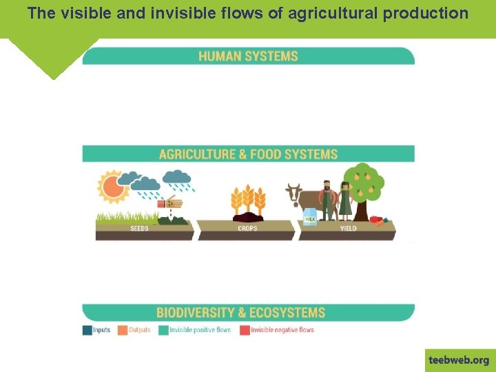 The visible and invisible flows of agricultural production 