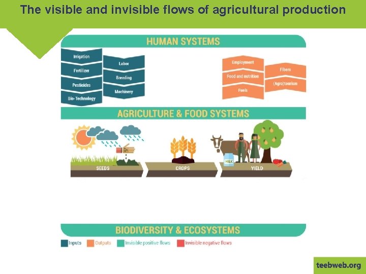 The visible and invisible flows of agricultural production 