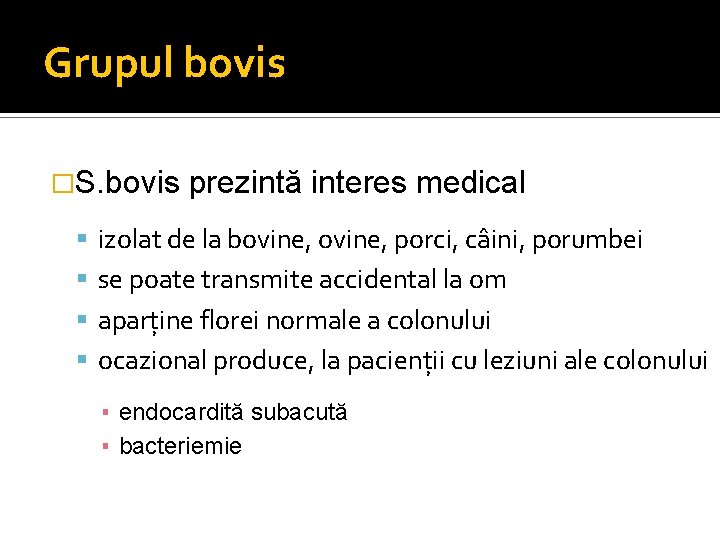 Grupul bovis �S. bovis prezintă interes medical izolat de la bovine, porci, câini, porumbei