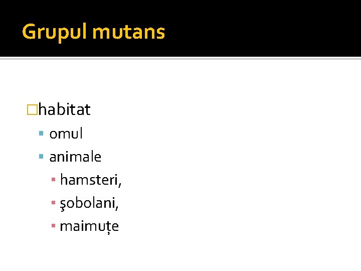 Grupul mutans �habitat omul animale ▪ hamsteri, ▪ şobolani, ▪ maimuţe 