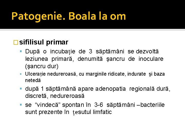 Patogenie. Boala la om � sifilisul primar După o incubaţie de 3 săptămâni se