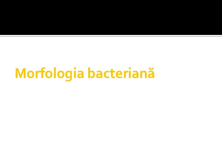 Morfologia bacteriană 