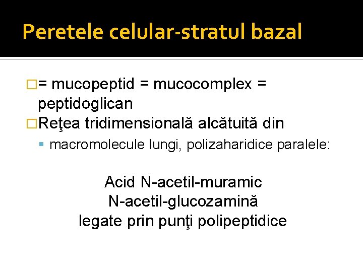 Peretele celular-stratul bazal �= mucopeptid = mucocomplex = peptidoglican �Reţea tridimensională alcătuită din macromolecule